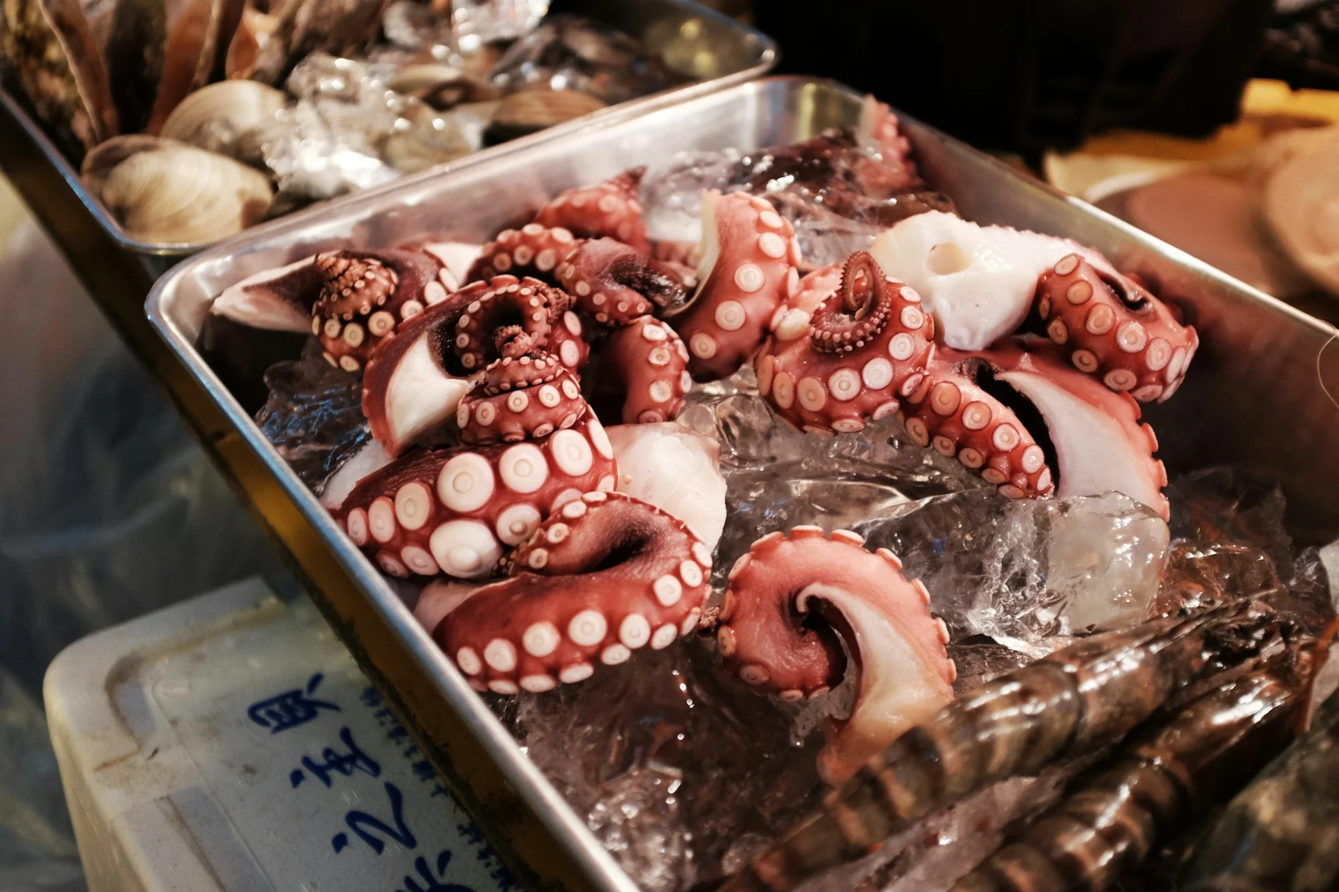 Fakta Menarik Tentang Makanan Laut